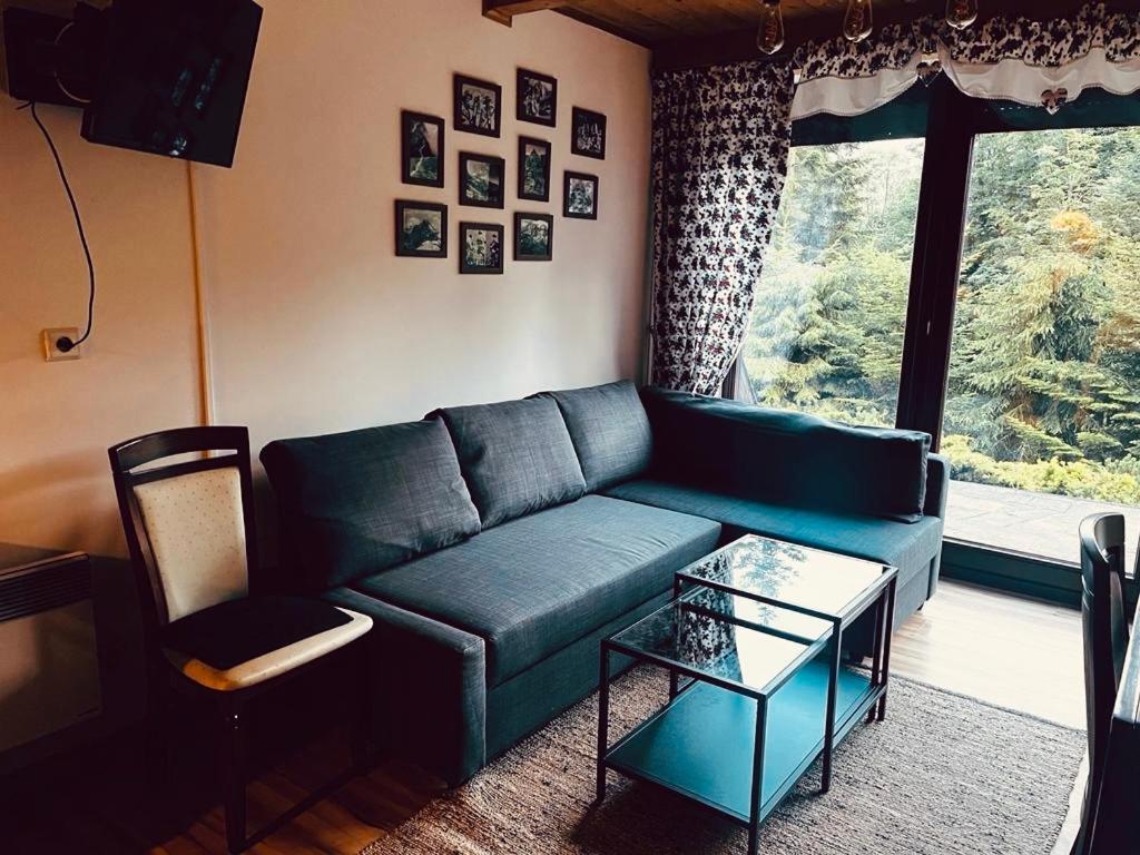 Butorowy Cichy Potok Koscielisko